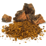 Raw chaga